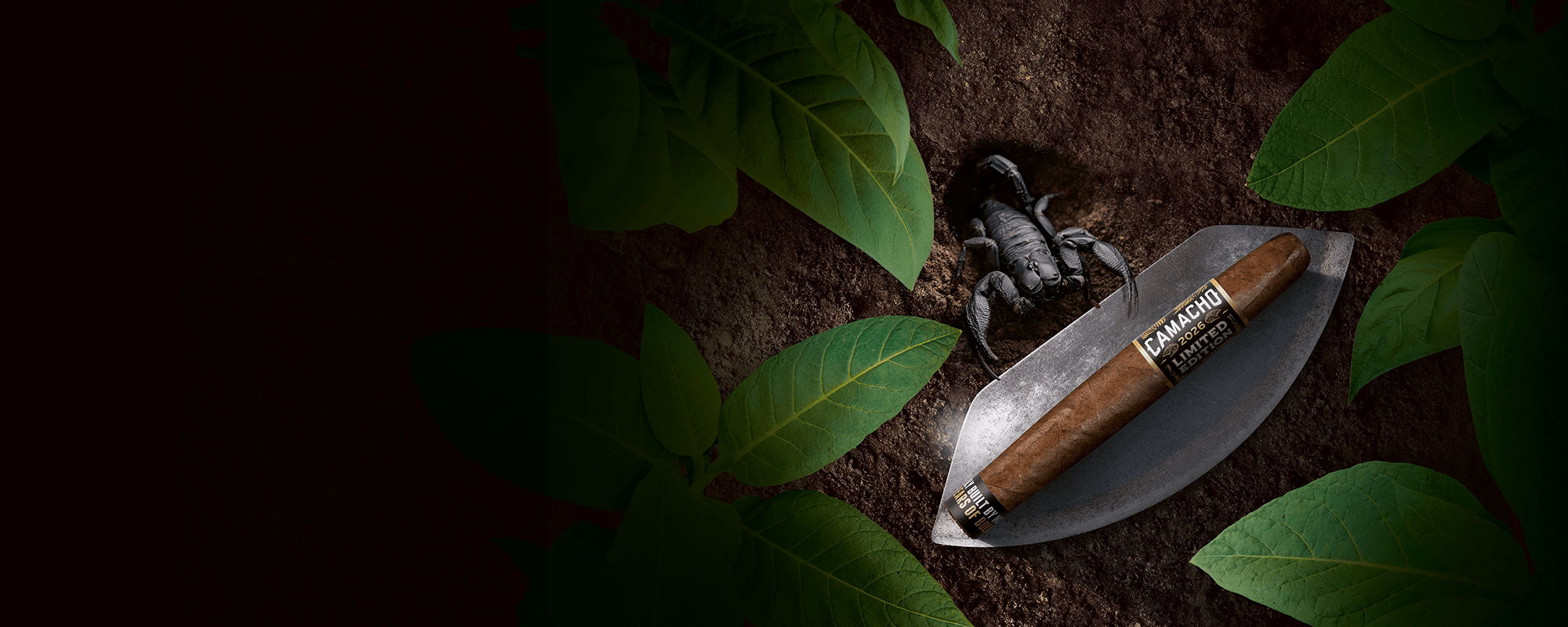 Camacho Limited Edition 2026