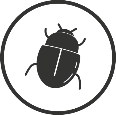 Icon of beetle