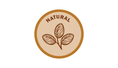 All-Natural icon with a leaf drawing
