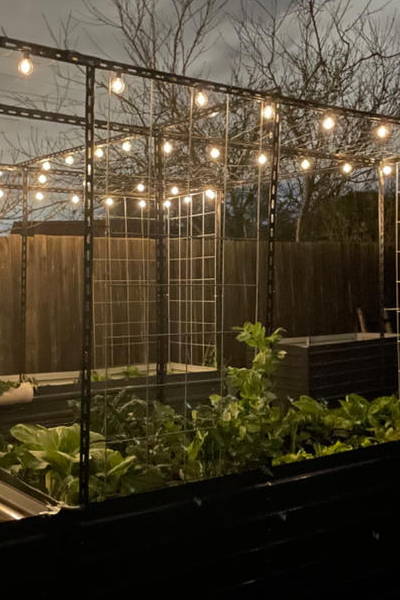 Nighttime garden with string lights and plants growing in raised beds.