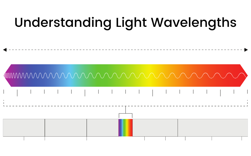 graphic image showing the light spectrum and light wavelengths