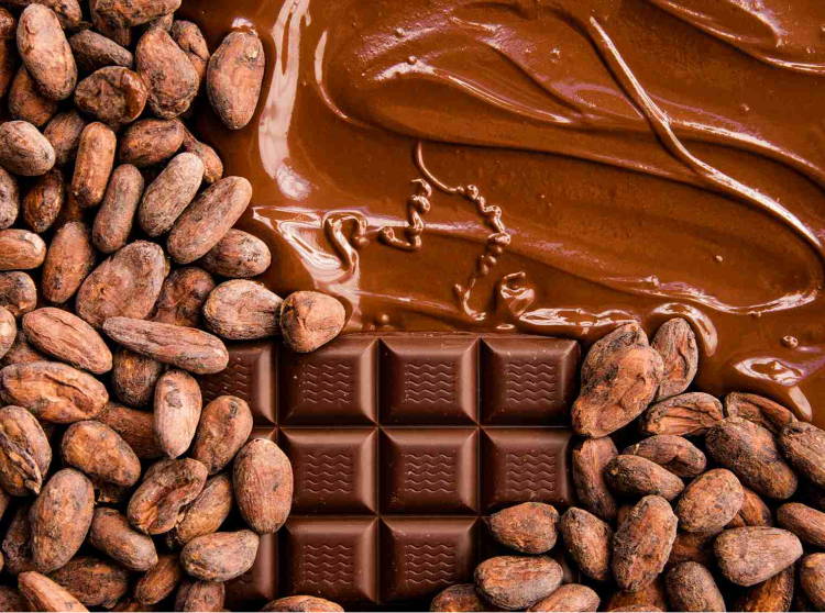 Chocolate bar surrounded by cocoa beans