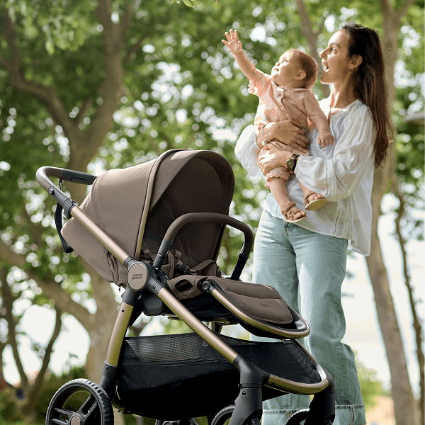 A mother holding her baby near a stroller in a park.