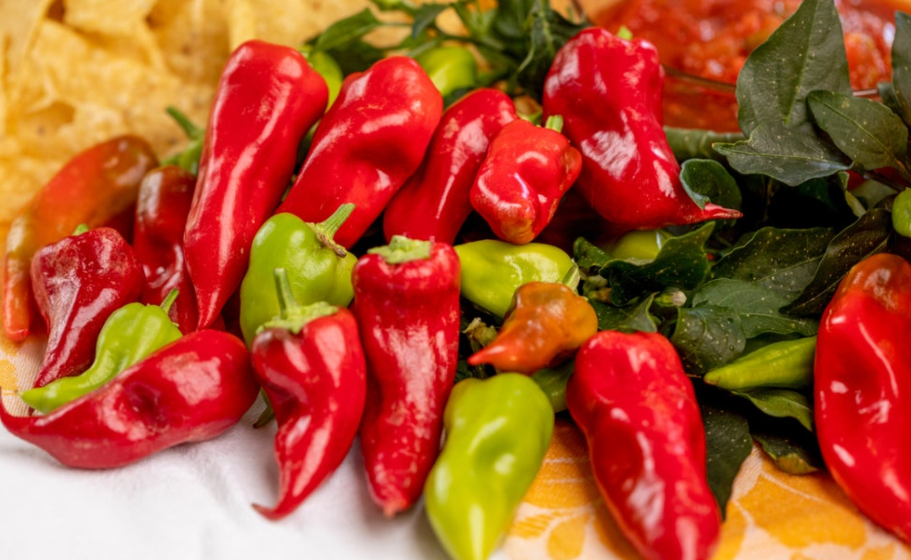 Photo of Goodhearted Tomatoes and Fire Away Hot and Heavy Peppers
