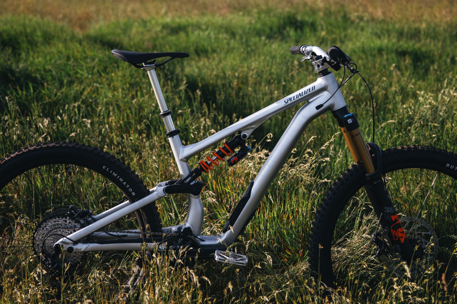 Mountain bike resting on grass in a natural outdoor setting.