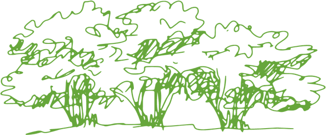 Tree Sketch