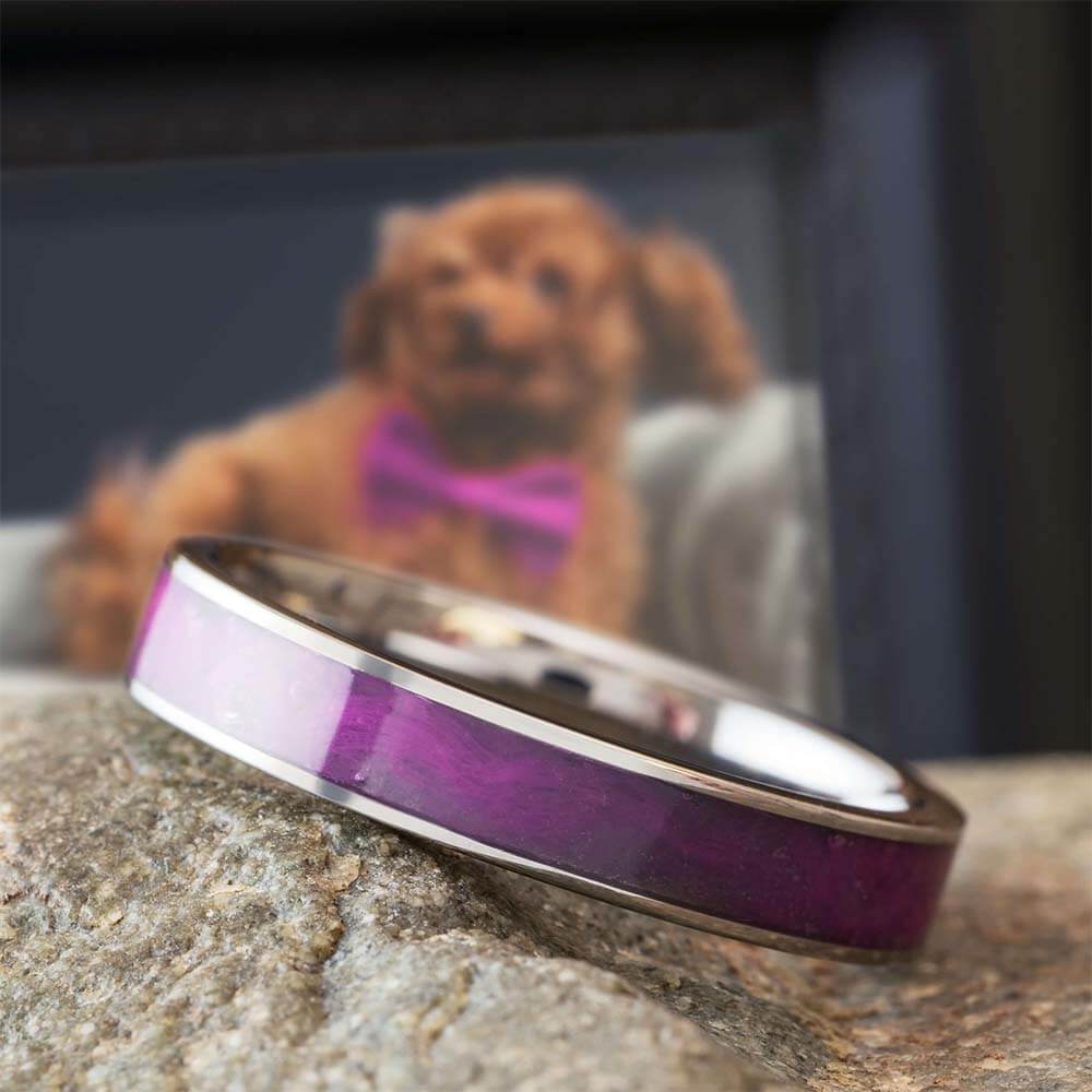 A purple and white bracelet resting on a rock with a dog photo in background.
