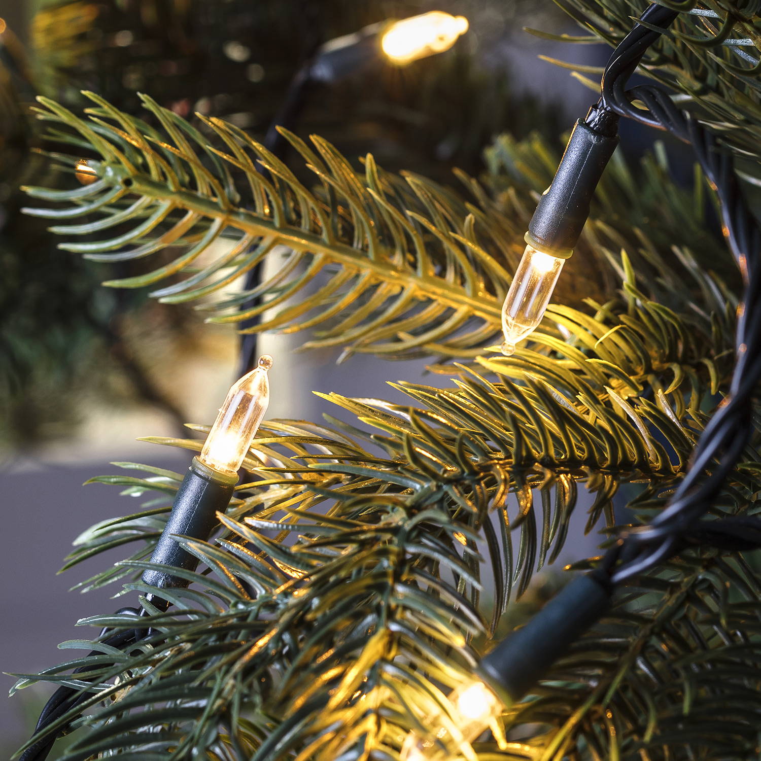 A close up of warm white Christmas tree LED lights.