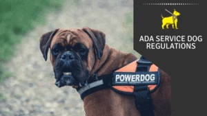 ADA Service Dog Regulations 