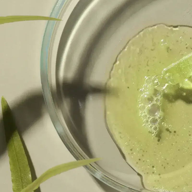 A glass dish with green liquid and plant leaves beside it.