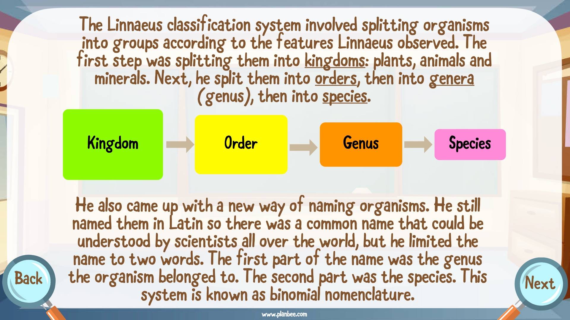 Carl Linnaeus KS2 Lesson Pack And Facts From PlanBee