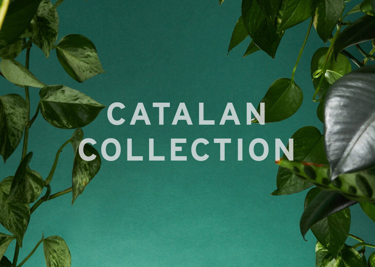Catalan Collection