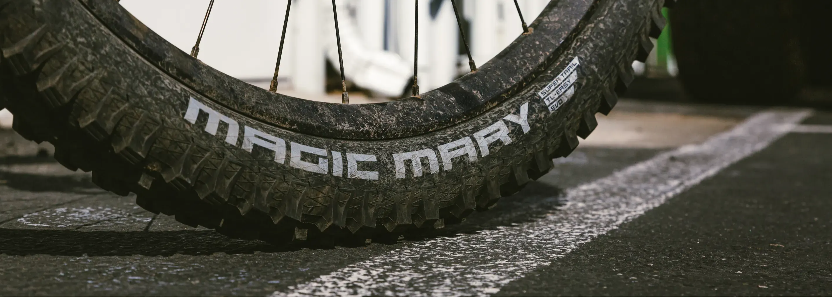 a dirty schwalbe magic mary on the pavement
