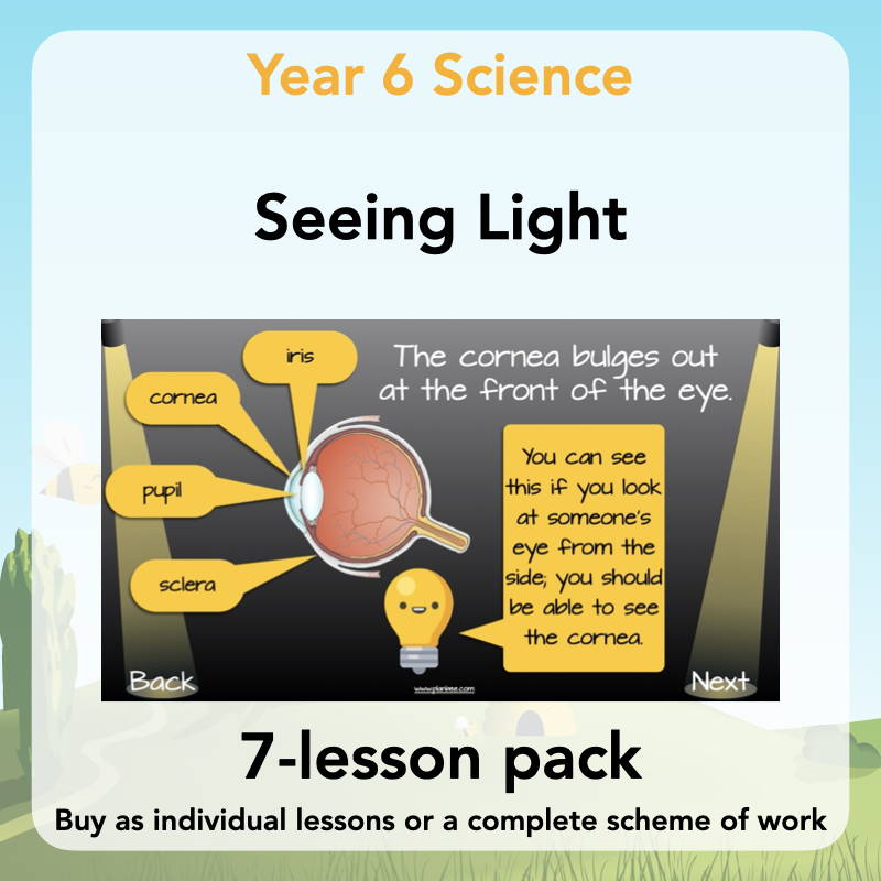 Year 6 Science Curriculum - Seeing Light 