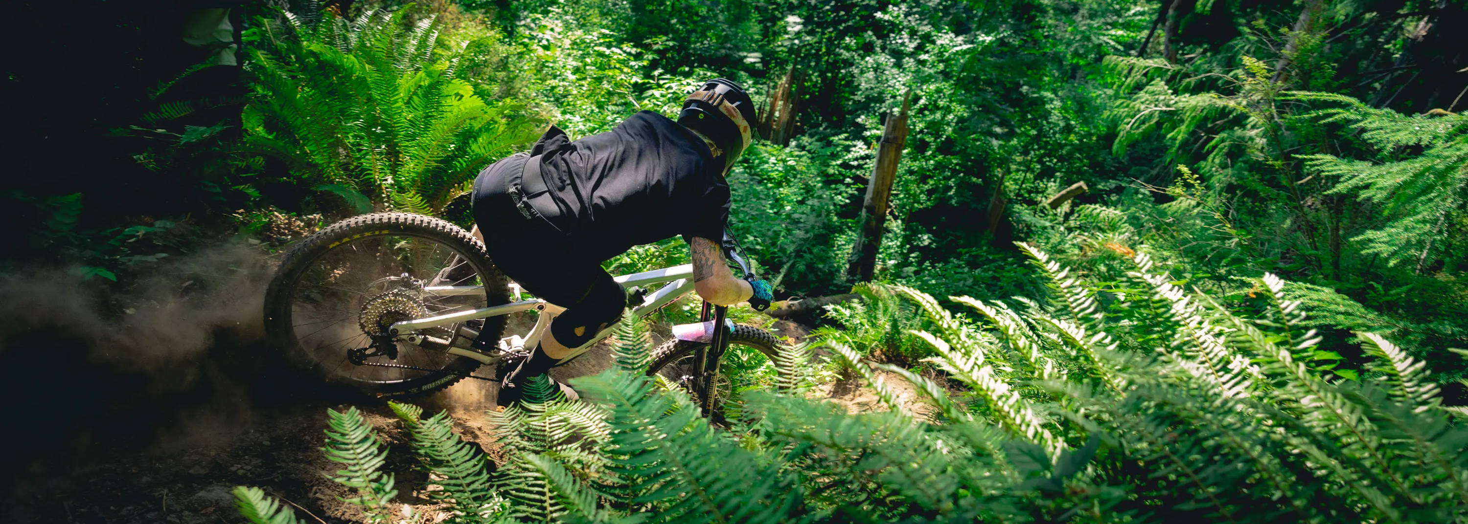 mountain biker riding through green ferns in bellingham washington