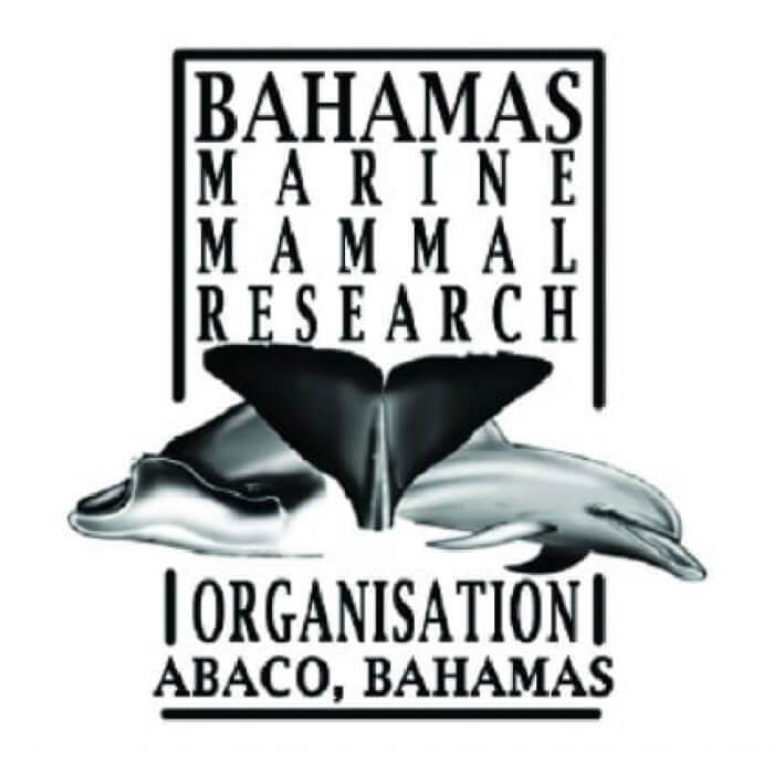 Bahamas Marine Mammal Research Organization
