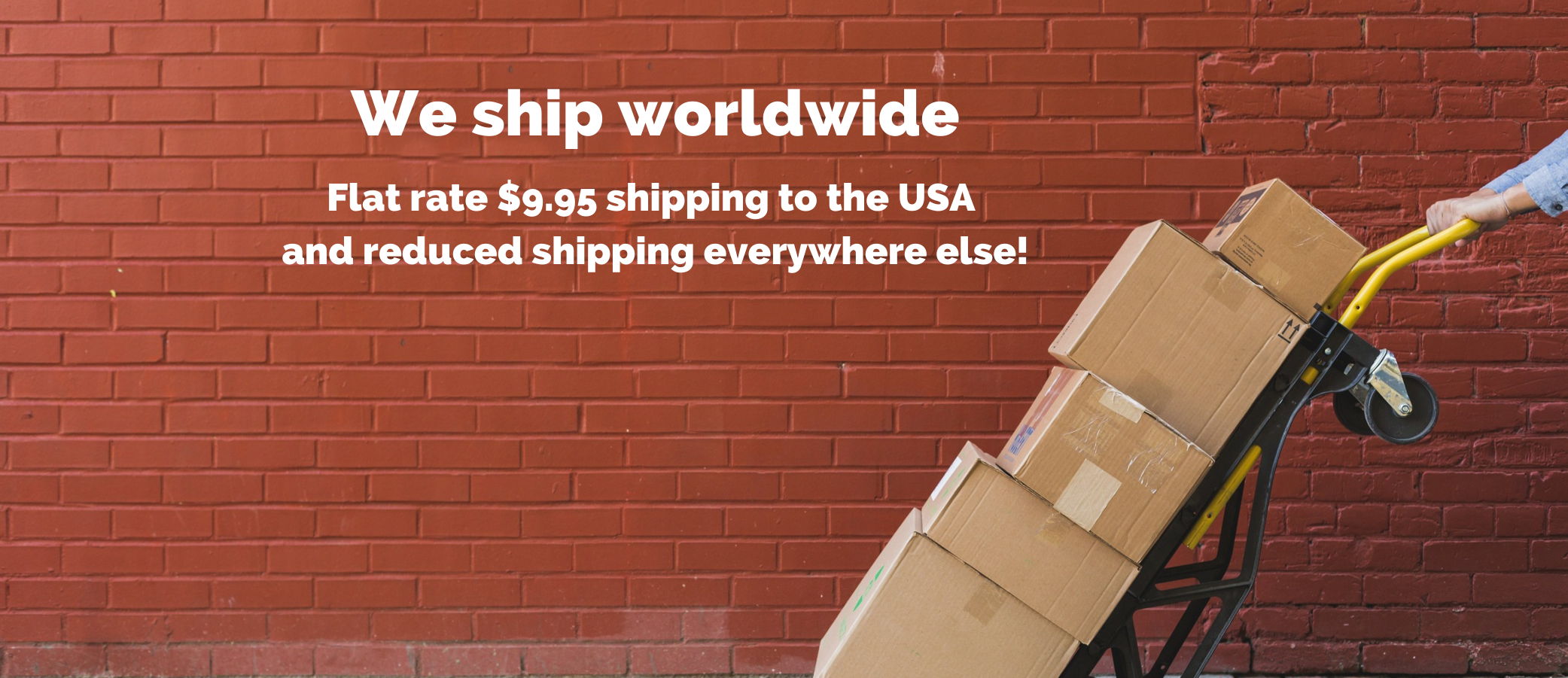 $9.95 Flat rate shipping to the USA