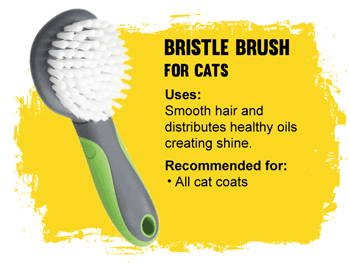 Bristle brush for cats