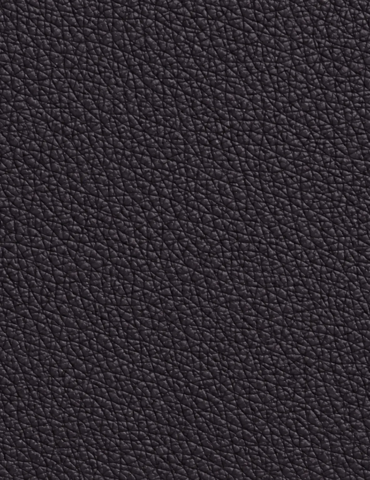 Close-up of textured dark leather surface.