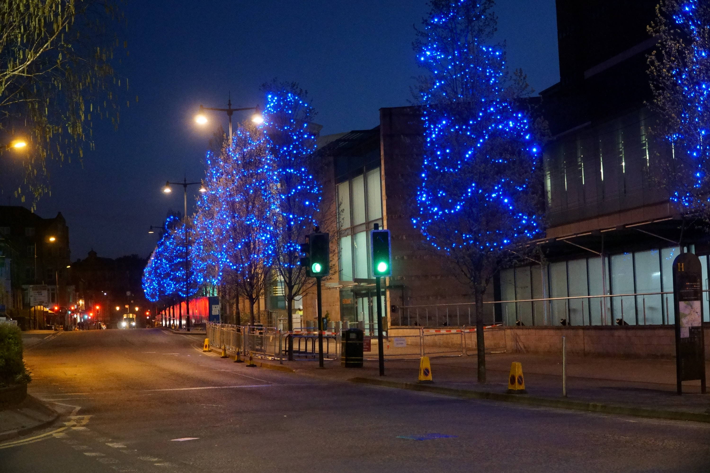 Blue lights illuminated on the trees outside new Nightingale Hospital in Harrogate