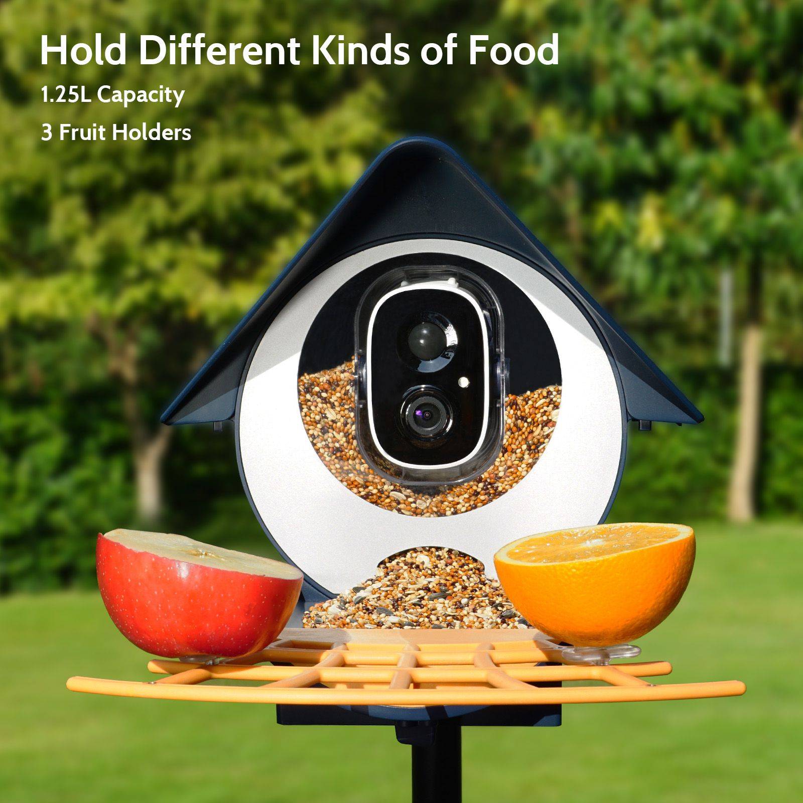 Birdkiss Smart Bird Feeder - 10K+ Birds Recognized by AI Bird Camera! –  BirdKiss