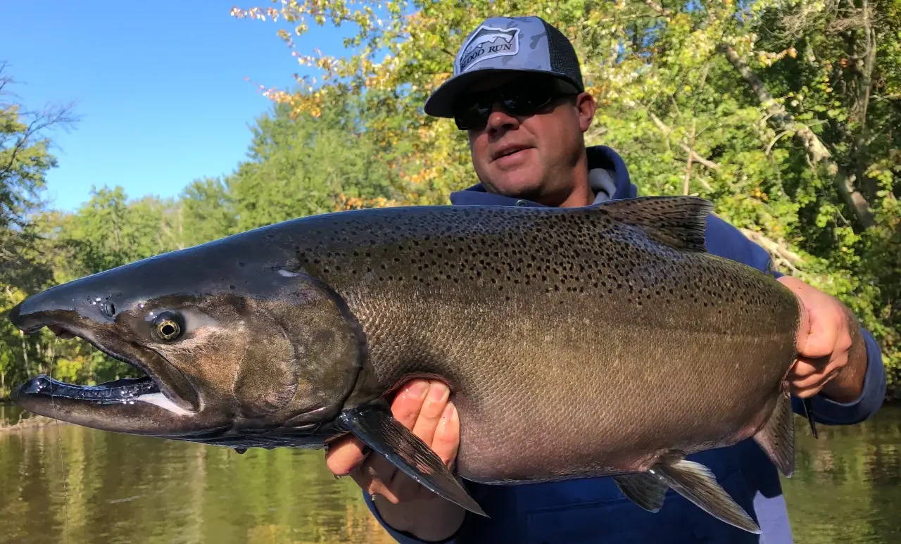 Chinook Salmon Float Fishing with Centerpin Blood Run Fishing