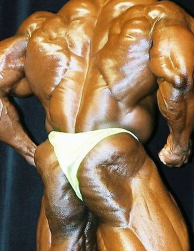 Ronnie Coleman 2001 Arnold Schwarzenegger classic rare bodybuilding photo gallery 