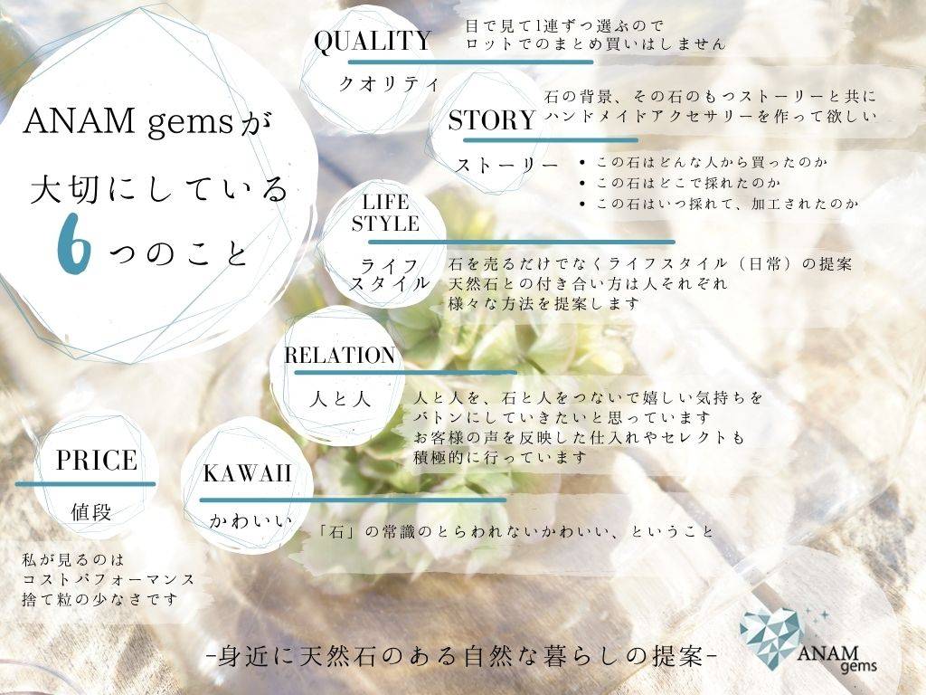 ANAM gemsとは