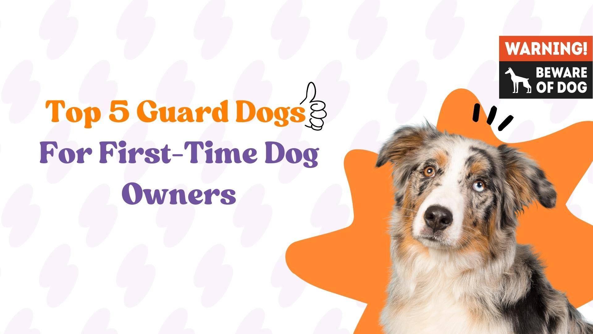 best guard dogs for first time dog owners