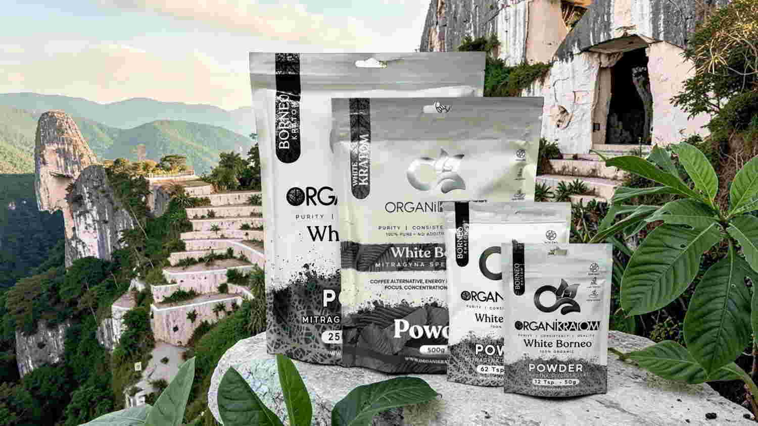Various product packages displayed against a scenic mountain backdrop.
