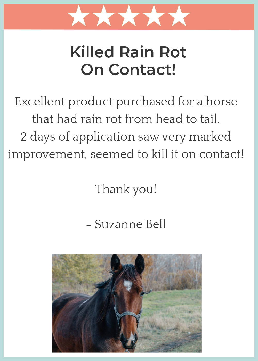 For Horses Coat Defense