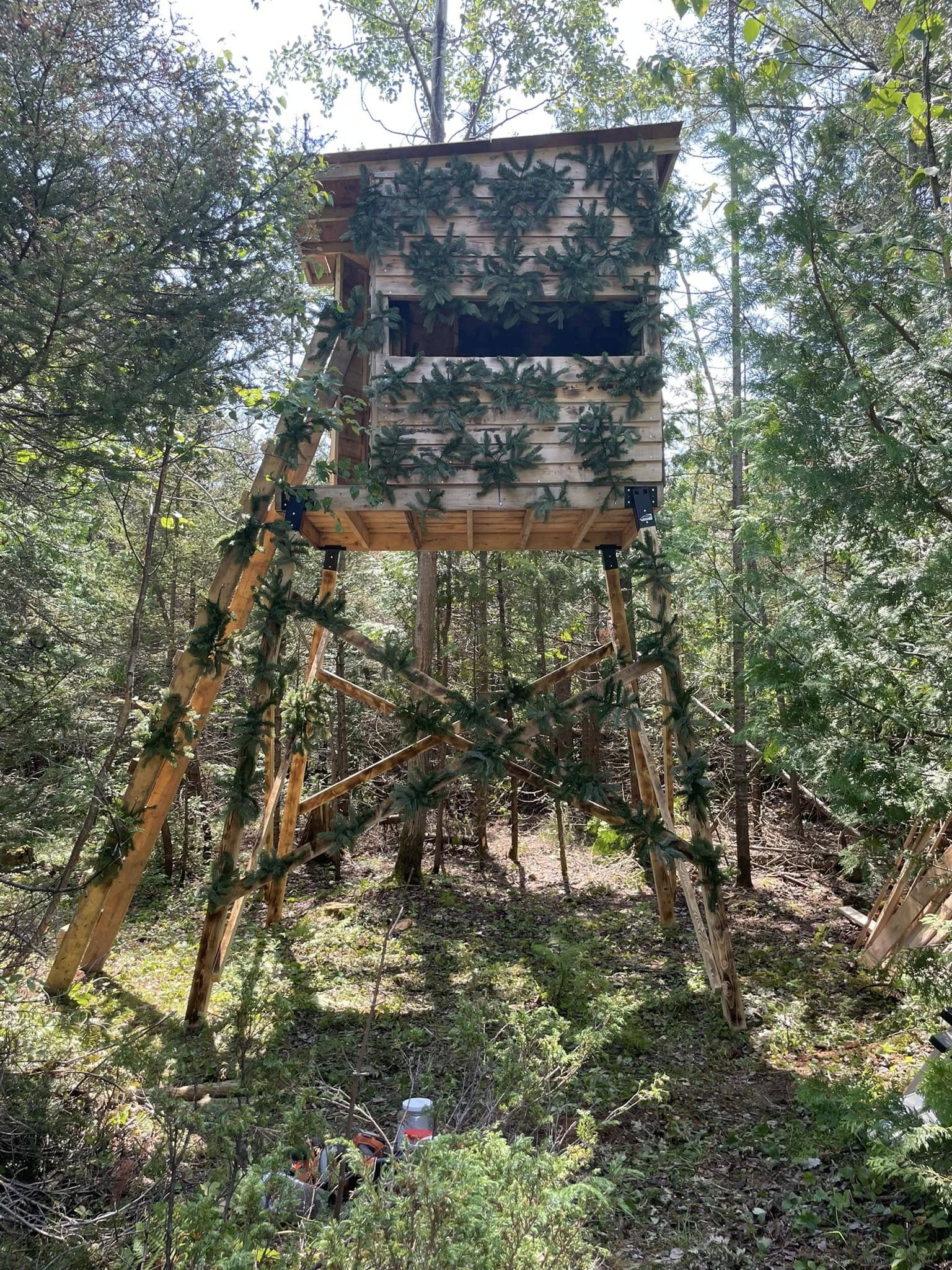 A wooden hunting blind elevated on stilts in a forested area.