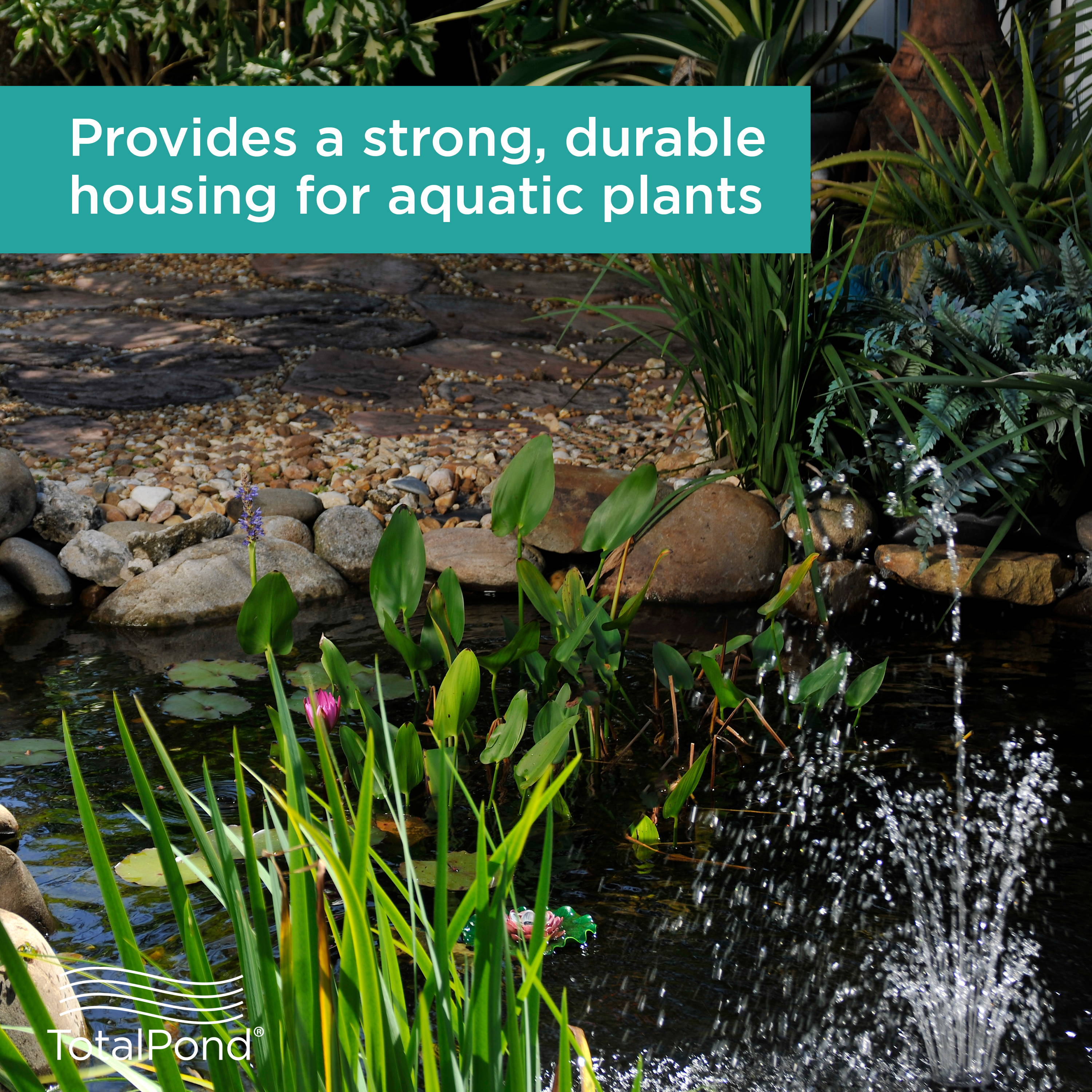Basket provides housing for aquatic plants