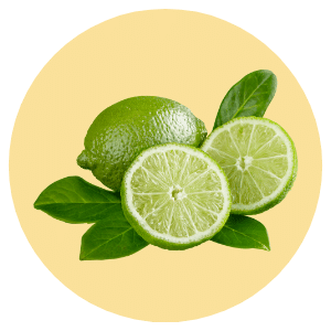 Lime ingredient of Calendula Calm Yas Alpaca shampoo bar