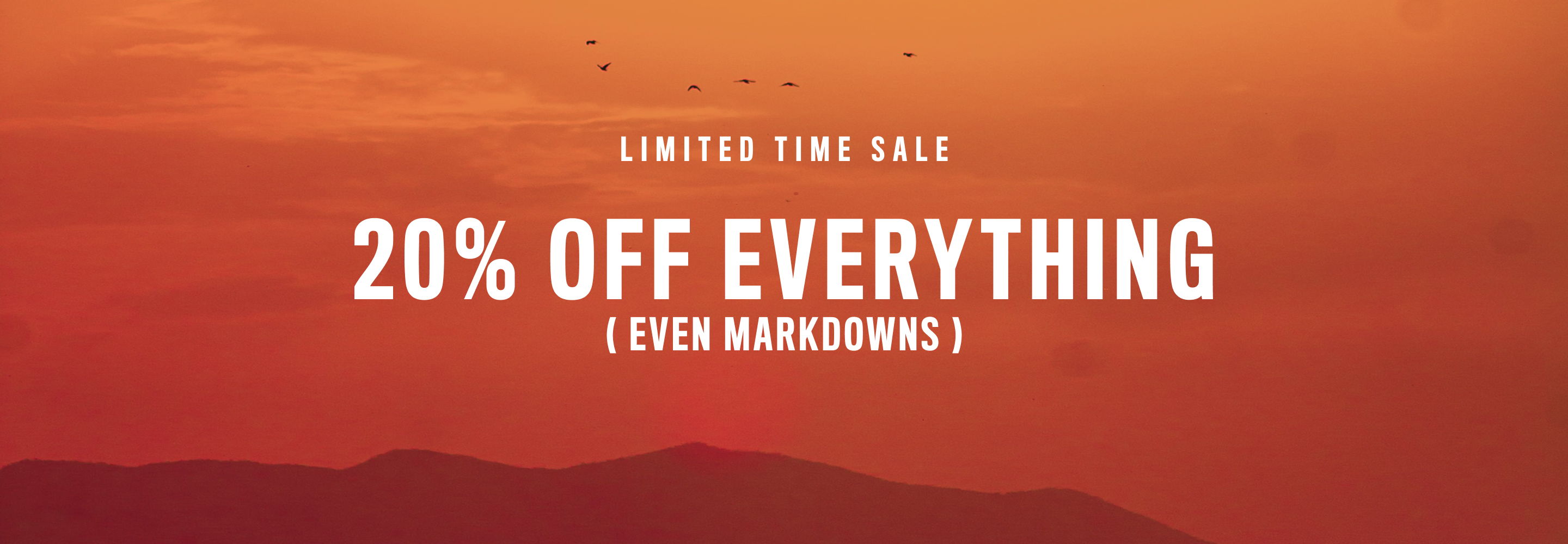 Promotional banner offering 20% off everything, including markdowns.