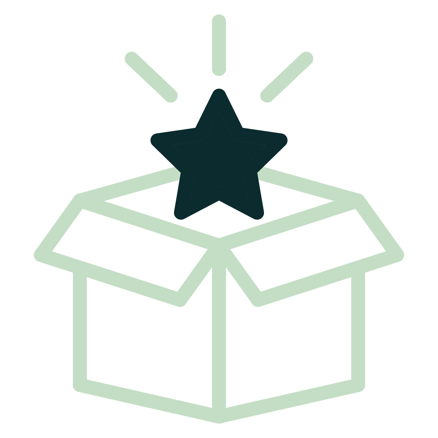 Open box with a star emerging from it.