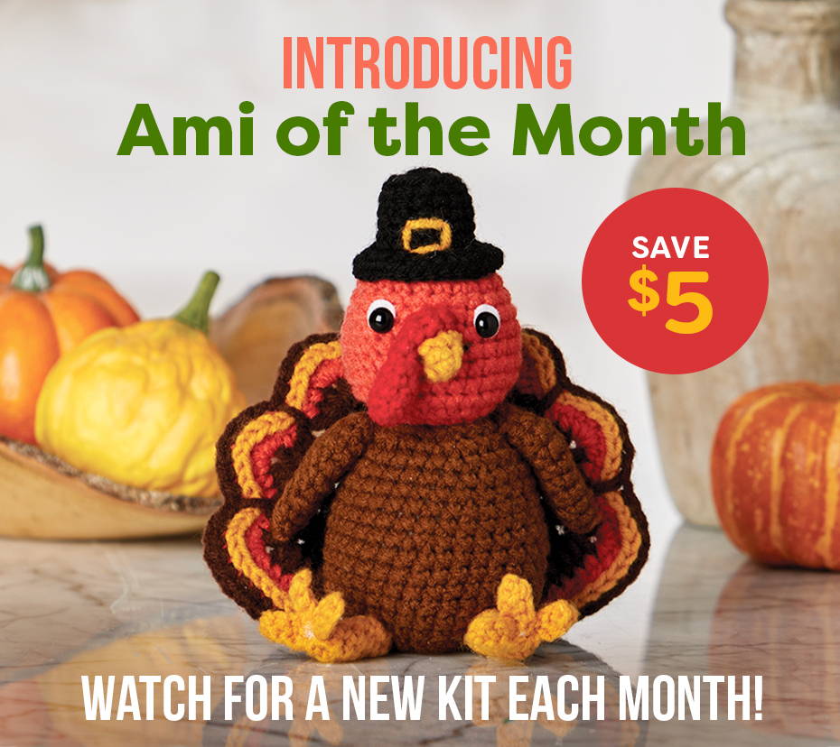 Introducing Ami of the Month. Watch for a new kit each month!