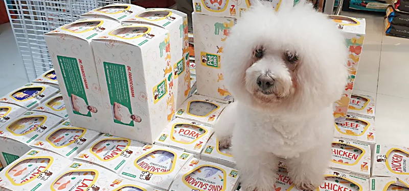 PetCubes cooked dog food in Singapore.