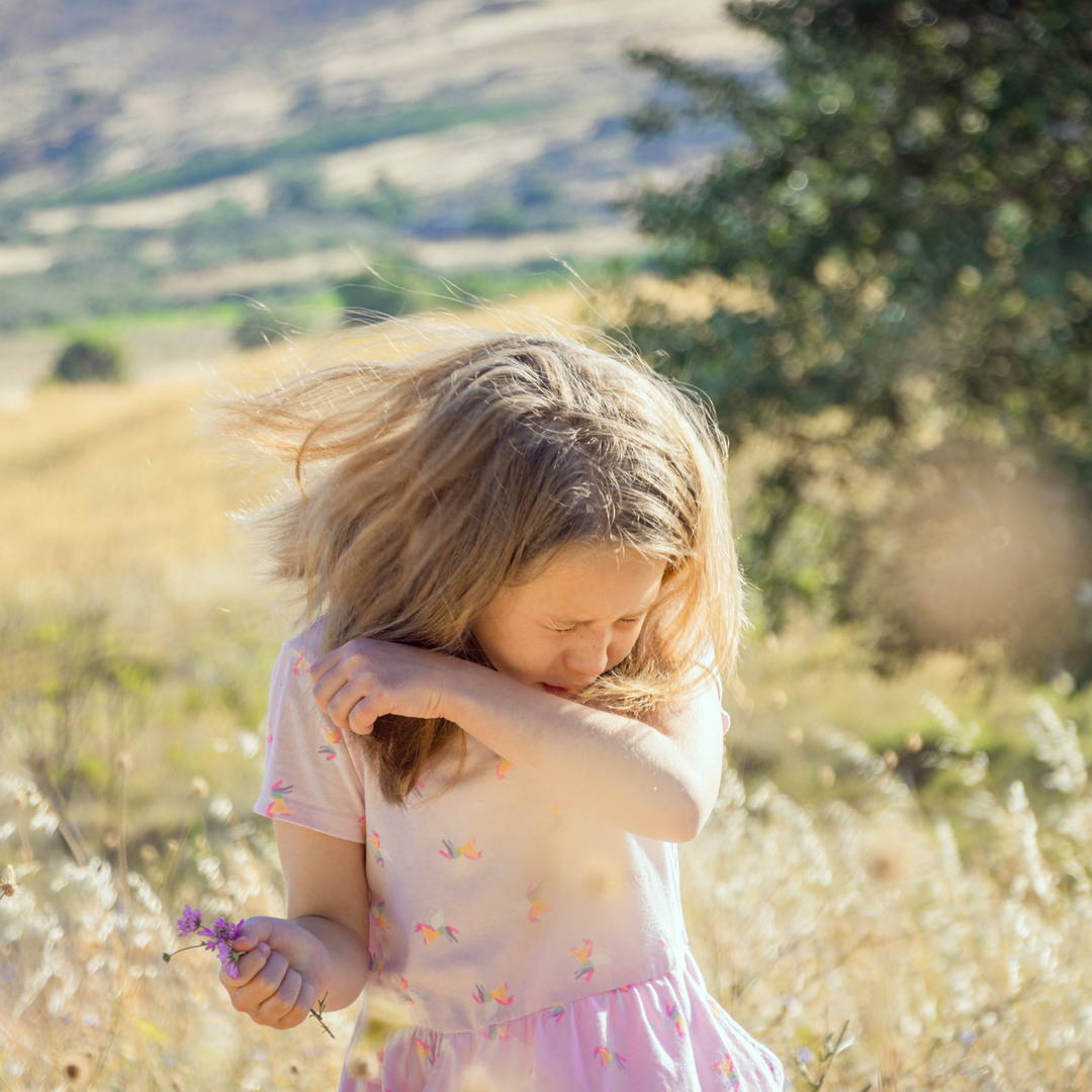 Young girl playing in a field and sneezing into the crook of her arm. She’s picking flowering grass stems and has hay fever