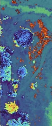 MicaSense Multispectral Sensor image