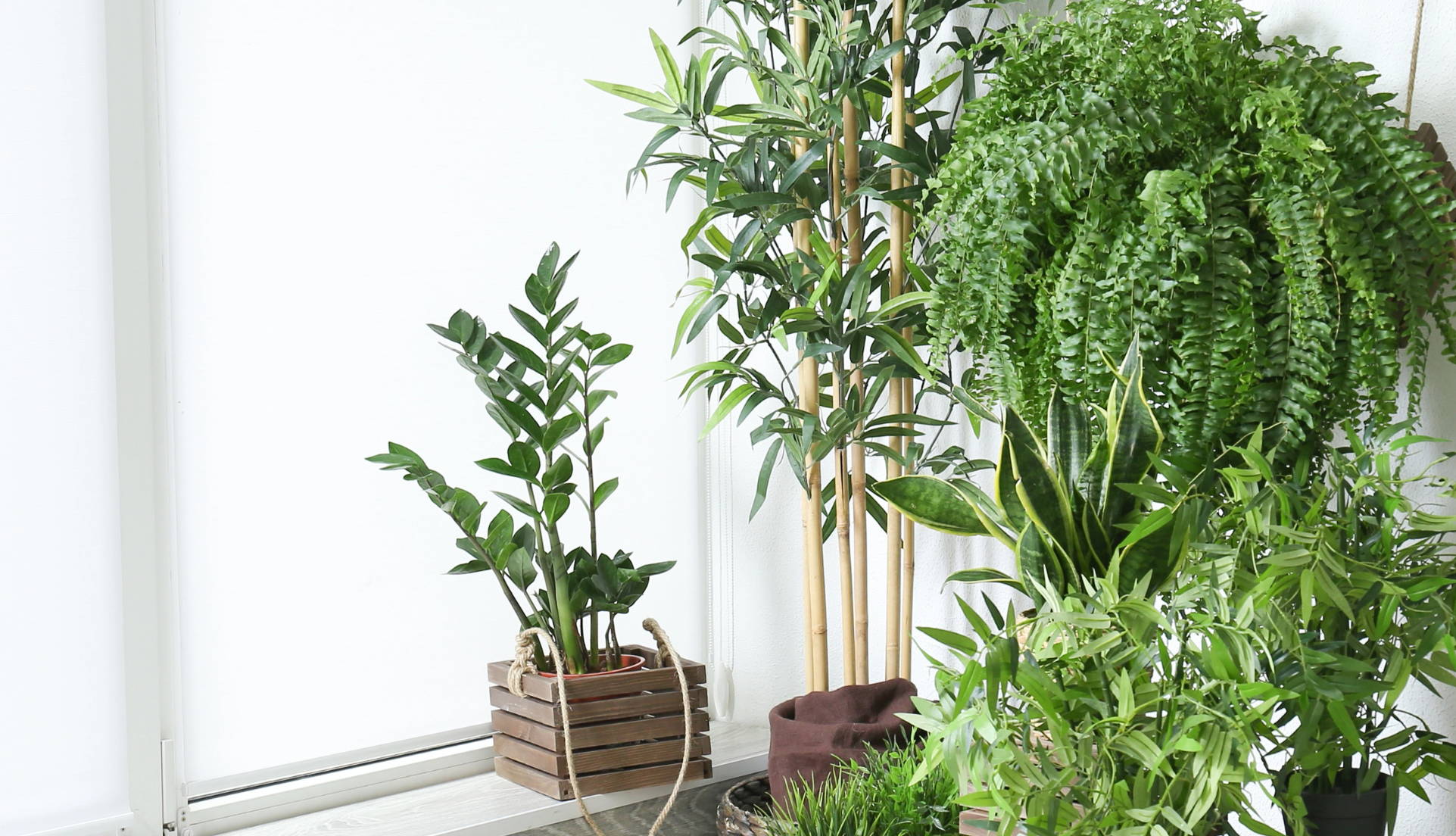 watering system for indoor plants Solar Automatic Balcony Watering Kit Indoor Plant Garden Drip Irrigati main image 1