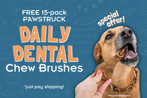 Photo of a dog biting into a dental chew treat. Text: 