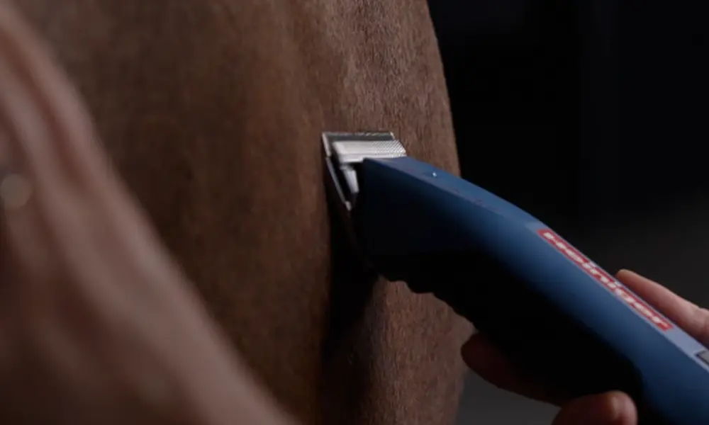 A close-up of a hair clipper on a horse's skin.