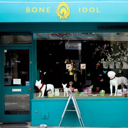 Bone Idol Brighton, Brighton Dog Groomers, Bone Idol, Dog Collars, Dog Leads, Dog Food, St James's Street, 