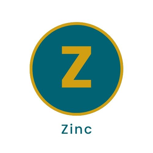 Zinc, What is in my Dog Food? Healthy Dog Food, Cold Pressed Dog Food, Dog Food, Grain Free Dog Food, Hypoallergenic Dog Food.