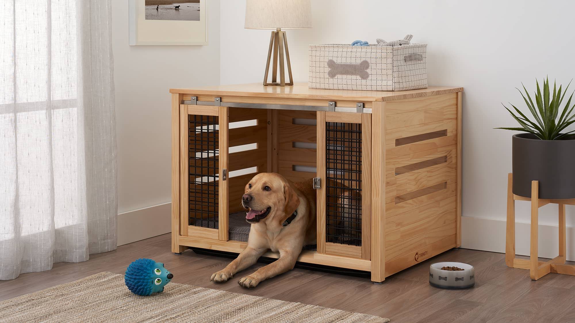 pet crate with large golden retriever dog