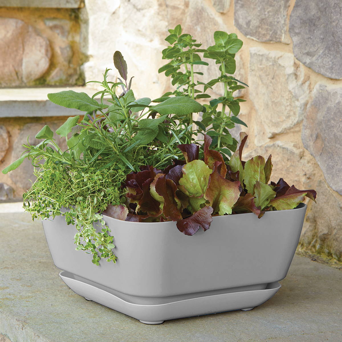 Plants growing in a gray Majestic gardern planter