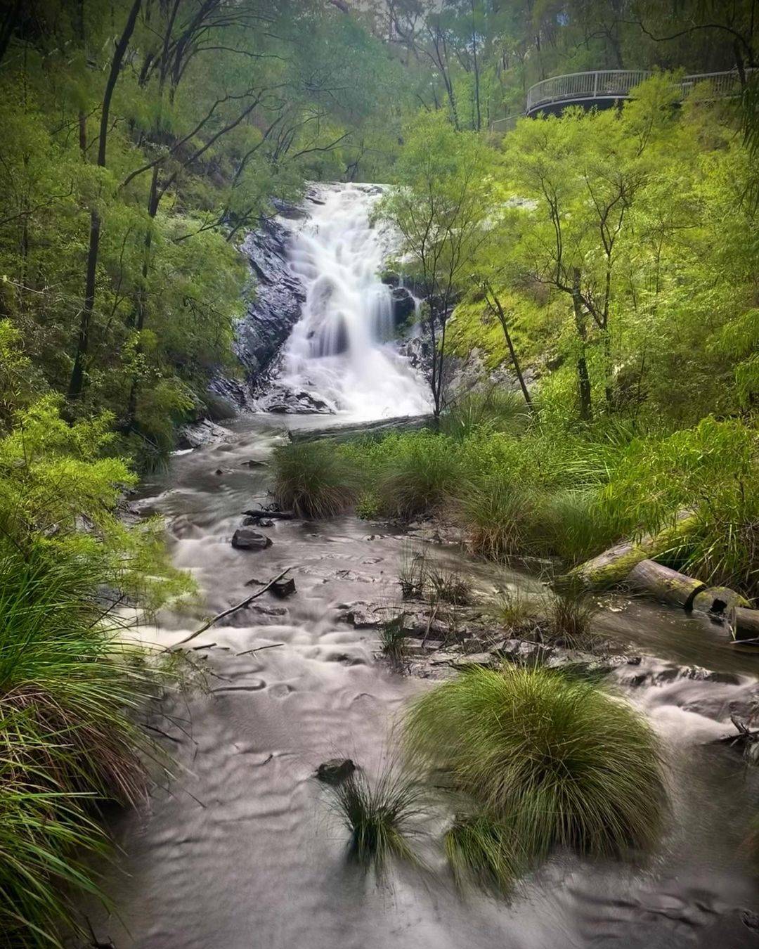 Beedelup Falls - Pemberton, Best Hikes in WA