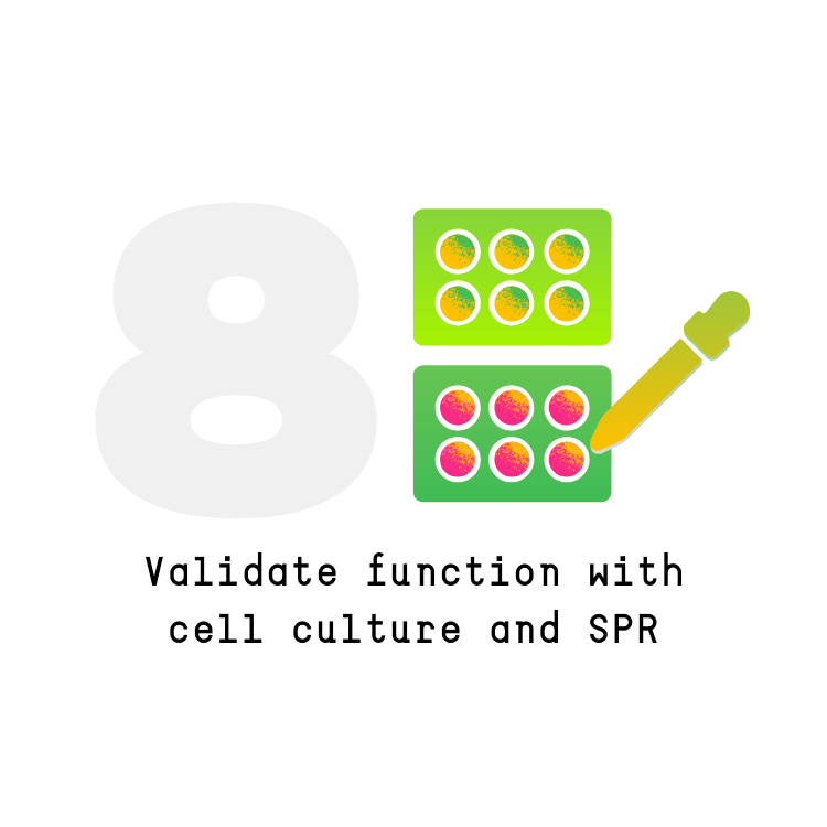 Future Fields EntoEngine™ protein production process step 8