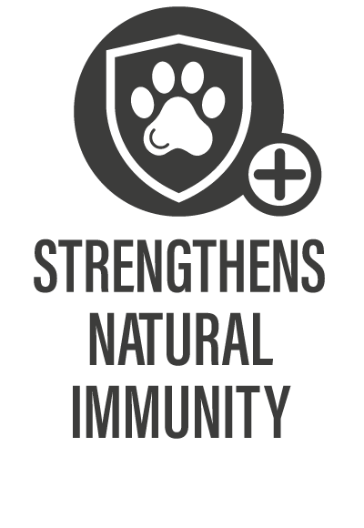 Nature's Harvest Dog Treats Strengthens Immunity Icon